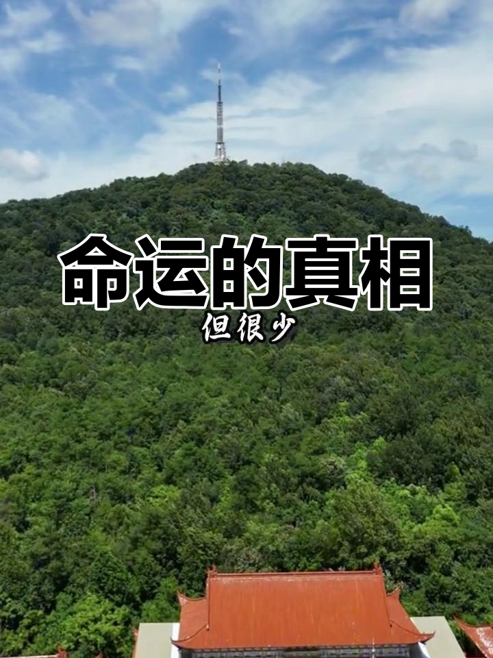 admin 第78页