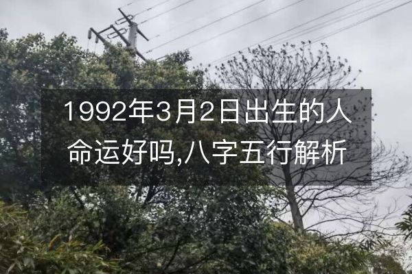 科普展现:92年什么命（96年什么命）