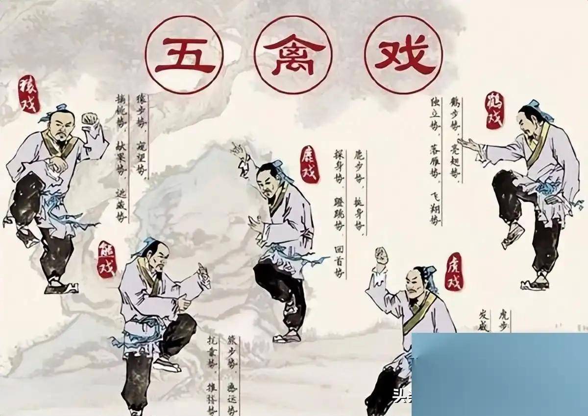 关于体育的运动有哪些