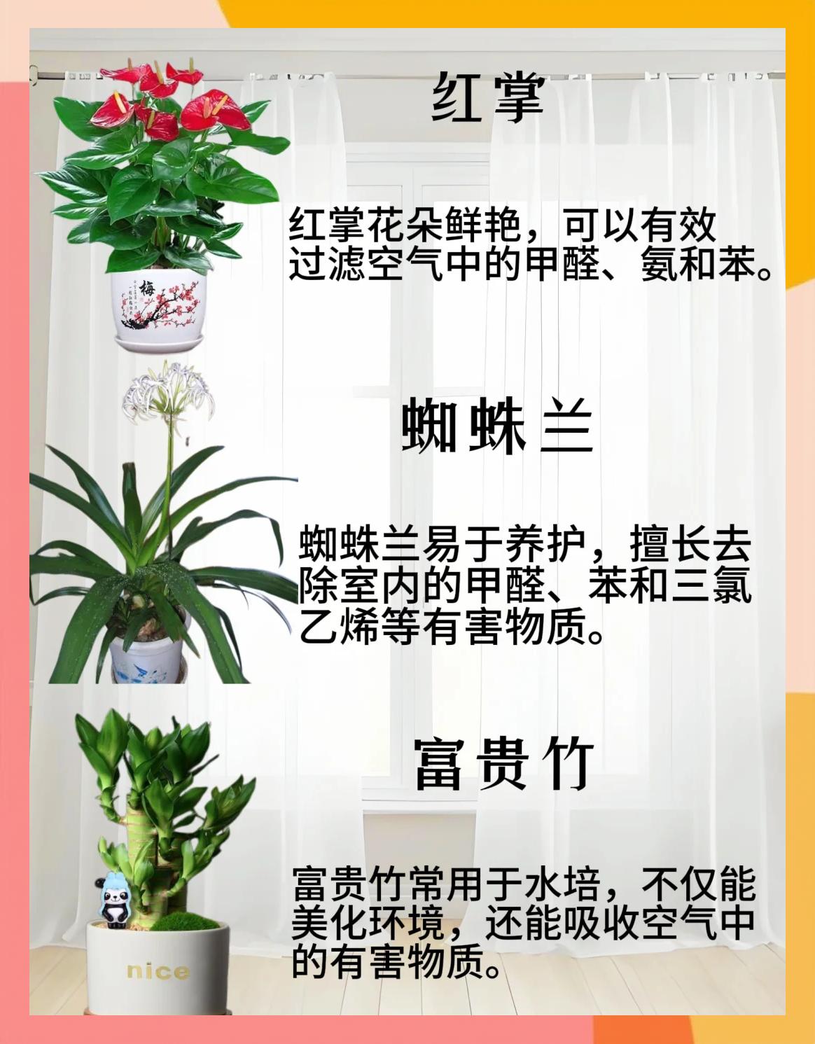 吸甲醛排名