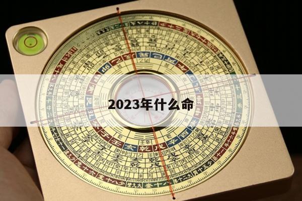 2023年什么命