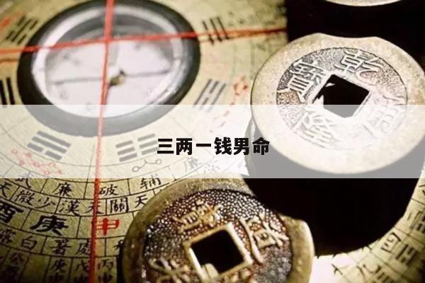 三两一钱男命