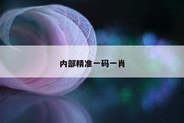 内部精准一码一肖