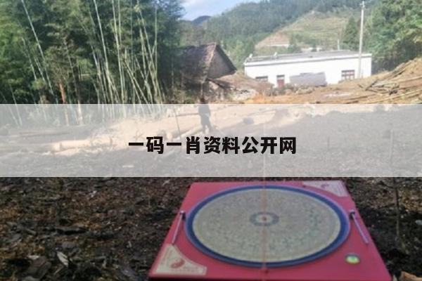 一码一肖资料公开网