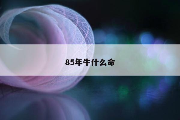 85年牛什么命