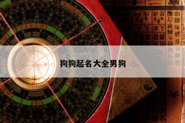 狗狗起名大全男狗