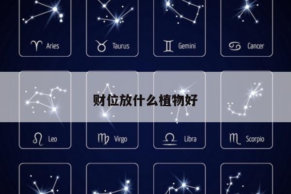 财位放什么植物好