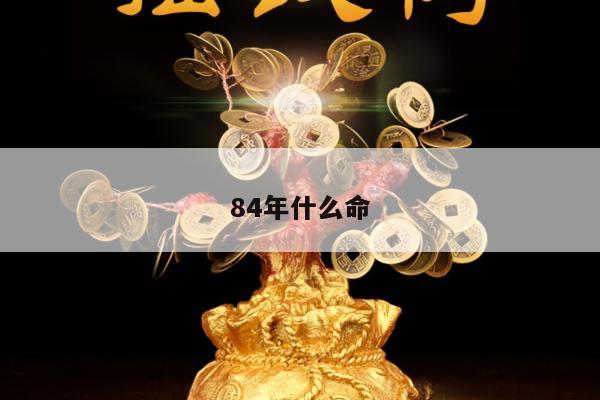 84年什么命