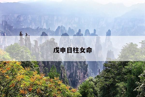 戊申日柱女命