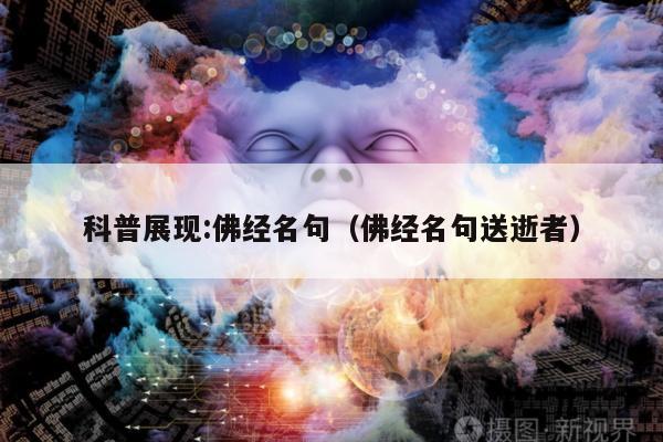 2025年5月 第37页