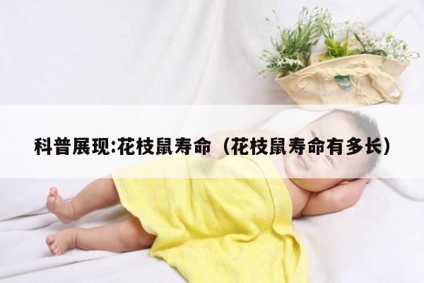 科普展现:花枝鼠寿命（花枝鼠寿命有多长）