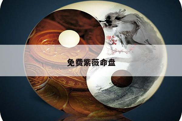 免费紫薇命盘