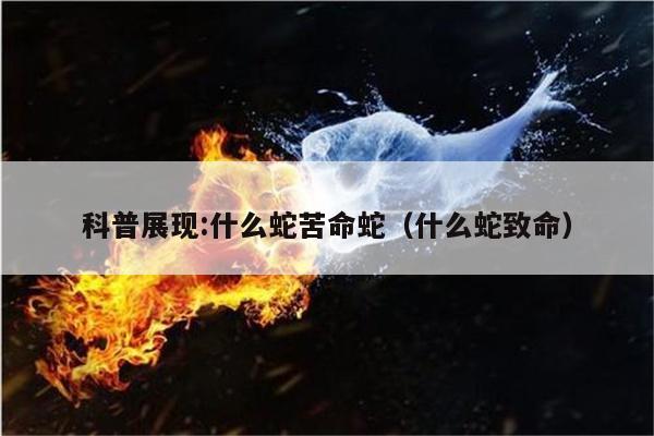 科普展现:什么蛇苦命蛇（什么蛇致命）