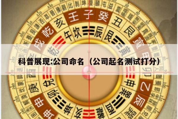 科普展现:公司命名（公司起名测试打分）