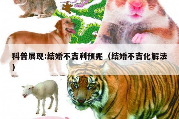 科普展现:结婚不吉利预兆（结婚不吉化解法）
