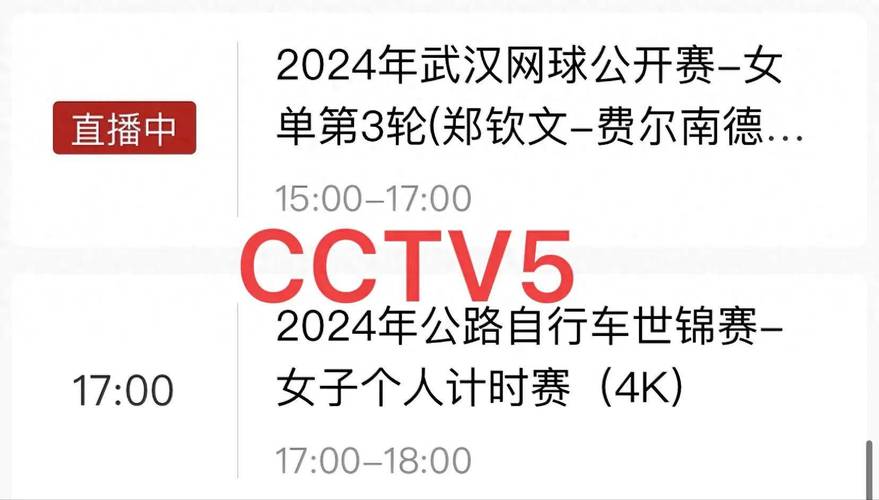 客户服务 第46页