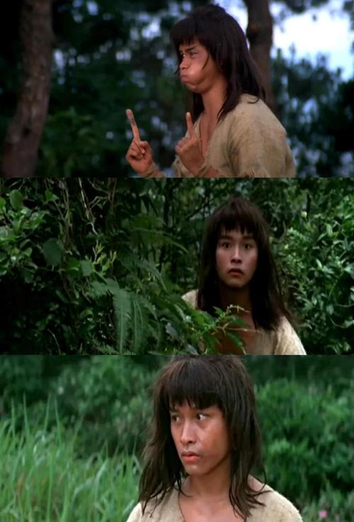 杨过与小龙女,杨过与小龙女差多少岁