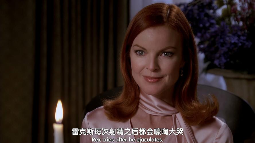 绝望主妇第一季高清,绝望主妇第一季高清免费观看