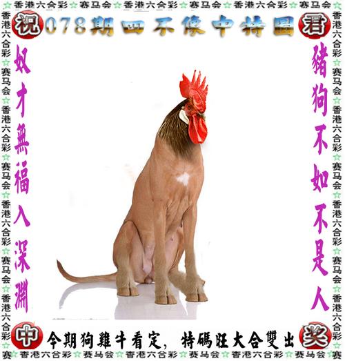 下载中心 第5页