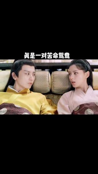 与君歌在线观看电视剧免费观看,与君歌电视剧免费观看完整版360