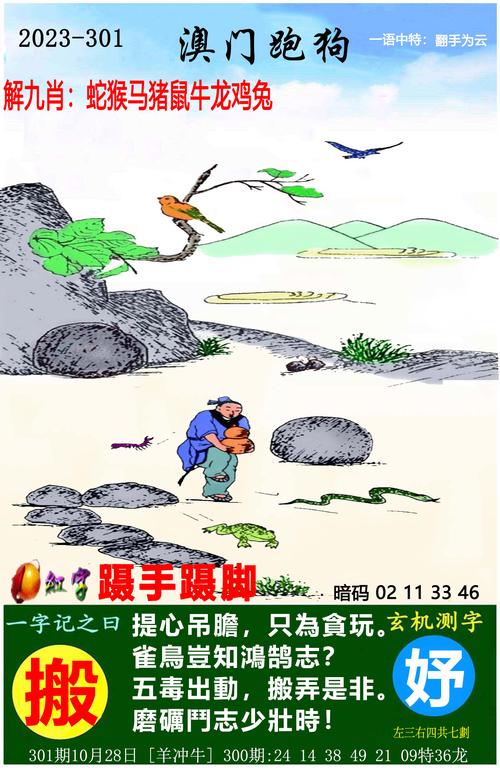 香港特马开码开奖结果历史记录,香港特马开码开奖结果历史记录341