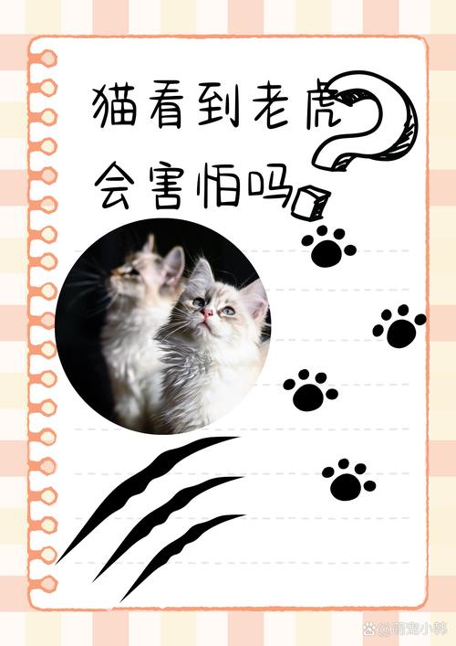 虎视眈眈什么意思,虎视眈眈什么意思解释